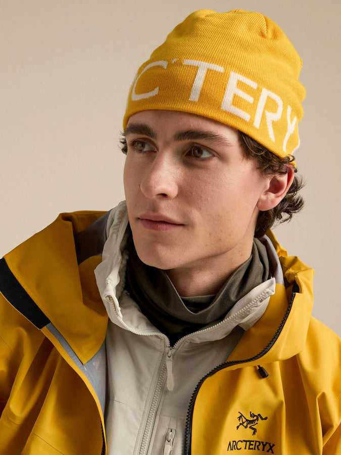 Arc'teryx Word Head Beanie | LARCH/ARCTIC SILK