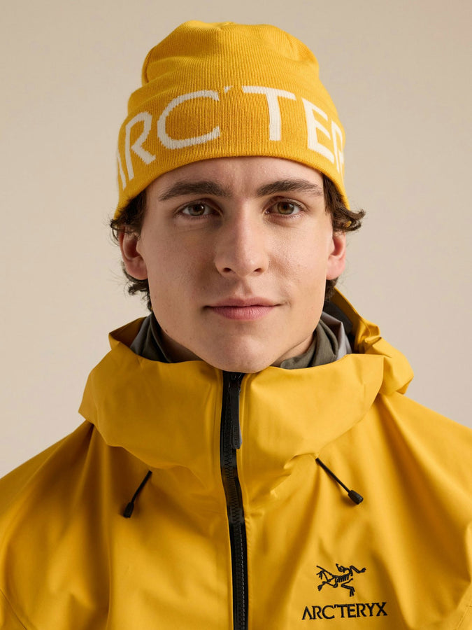 Arc'teryx Word Head Beanie | LARCH/ARCTIC SILK