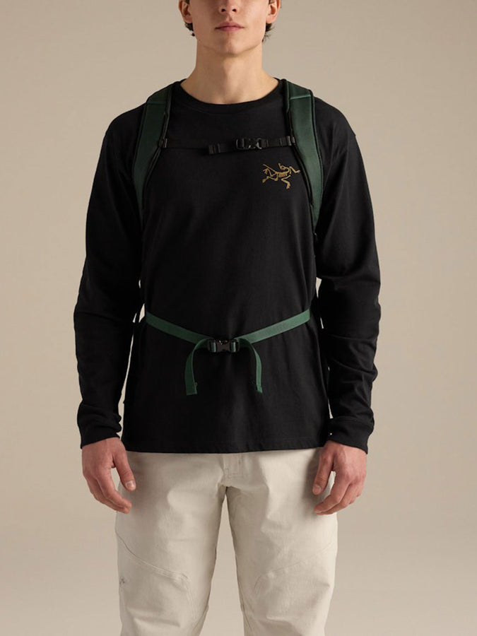 Arc'teryx Mantis 26 Backpack | DARK JADE/MONGOOSE