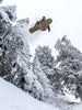 Arbor Element 2027 – All Mountain & Park Snowboard