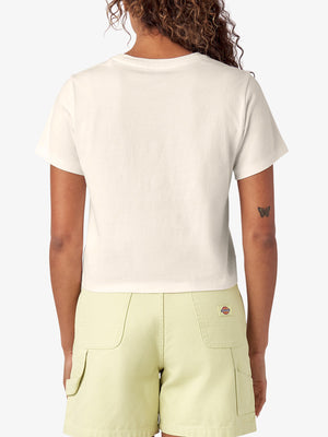 Dickies Herndon Women Crop T-Shirt Spring 2024