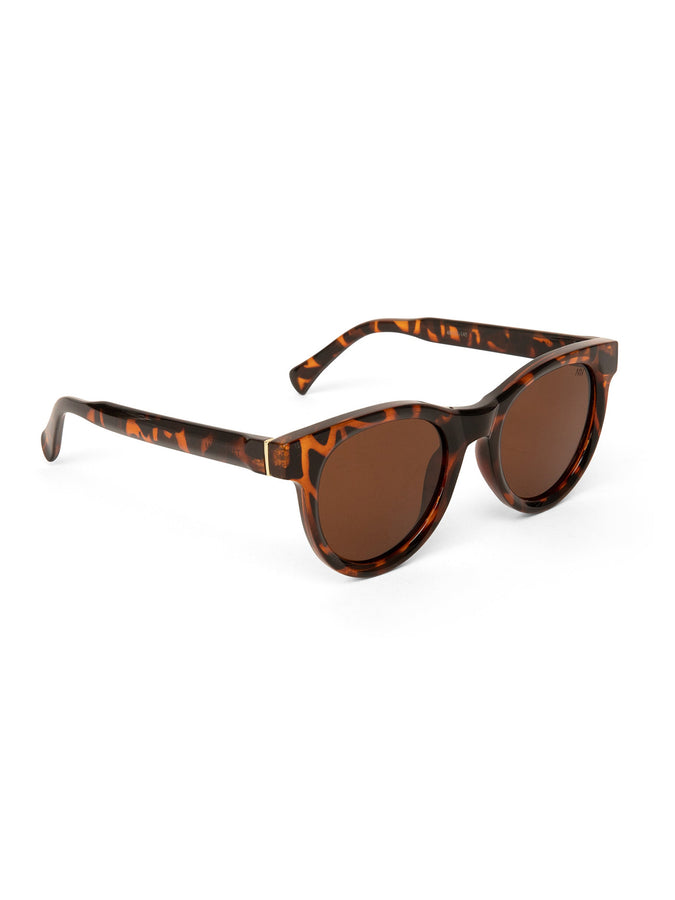 Jazi 2 Sunglasses | BROWN PRINT BROWN