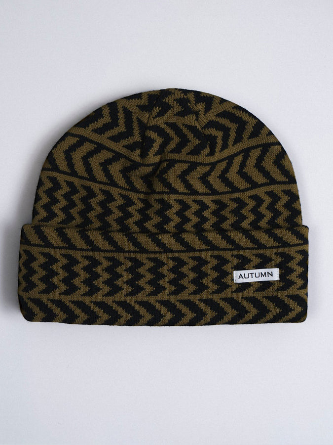 Autumn Chevron Beanie | FIR