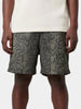 Carhartt Wip Slater Boardshorts Spring 2026