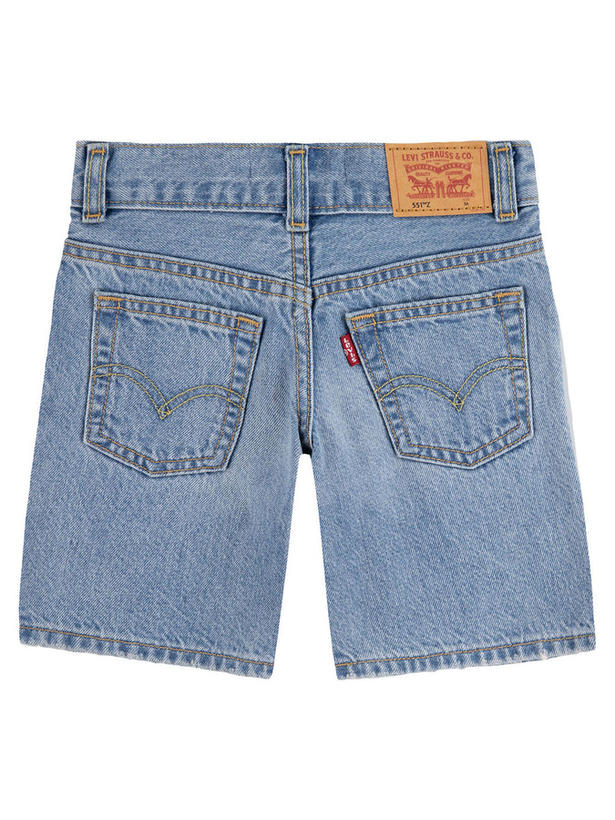 Levis Skate From Scratch Shorts Spring 2026 | FROM SCRATCH (L9K)