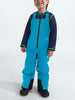 The North Face Freedom Insulated Bib Winter 2026