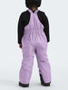 The North Face Freedom Insulated Bib Winter 2026