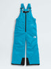 The North Face Freedom Insulated Bib Winter 2026