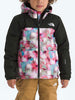 The North Face Freedom Insulated Imprime Jacket Winter 2026