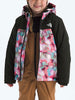 The North Face Freedom Insulated Imprime Jacket Winter 2026