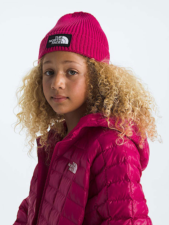 TNF Logo Box Cuffed Beanie | LALI GURAN (BOS)