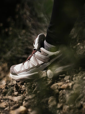 Salomon X Ultra 360 Edge GORE-TEX Slvr/Raisin Shoes Fall 2024