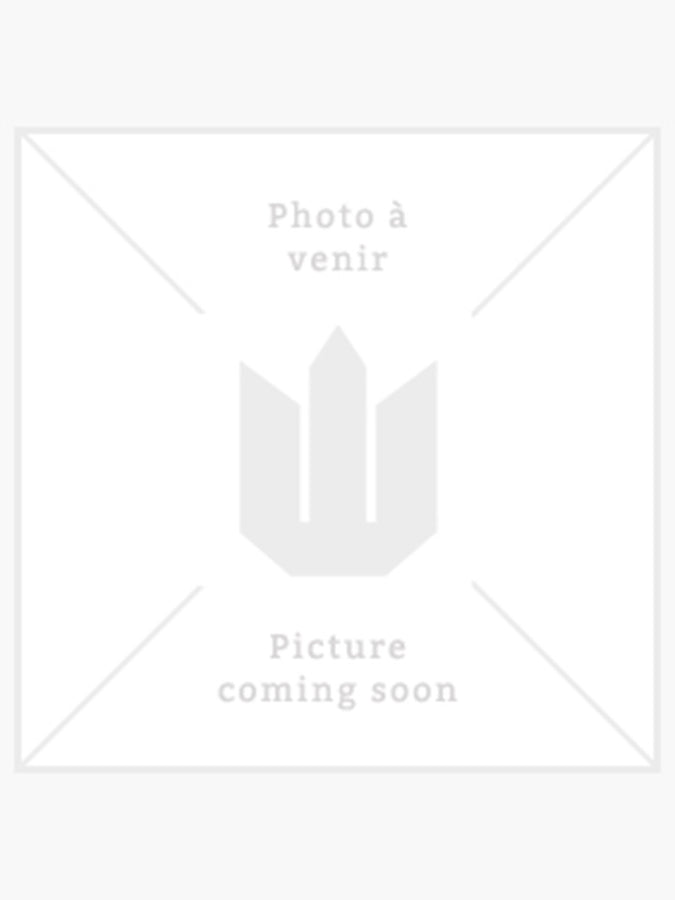 Vans Authentic Chino Straight Pants Spring 2026 | ELM (D3Z)