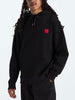 TNF 40TH Anniversary Mountain Jacket Hoodie Spring 2025