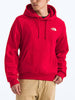 The North Face Evolution Box NSE Hoodie Fall 2025