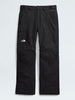 The North Face Freedom Insulated Pants Winter 2026