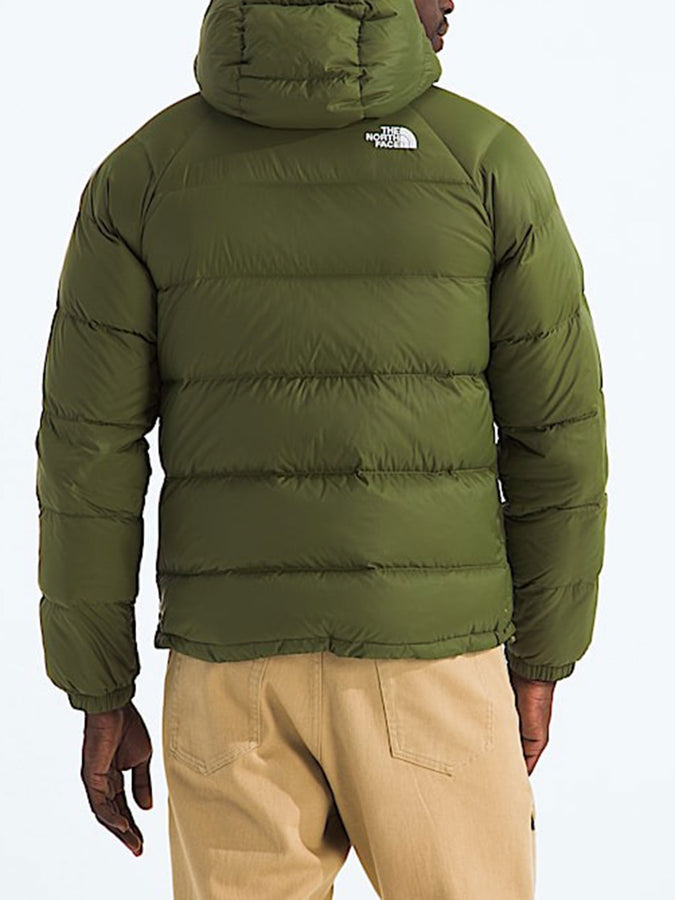 The North Face Hydrenalite Down Hooded Jacket | WOODLAND GREEN (BRI)