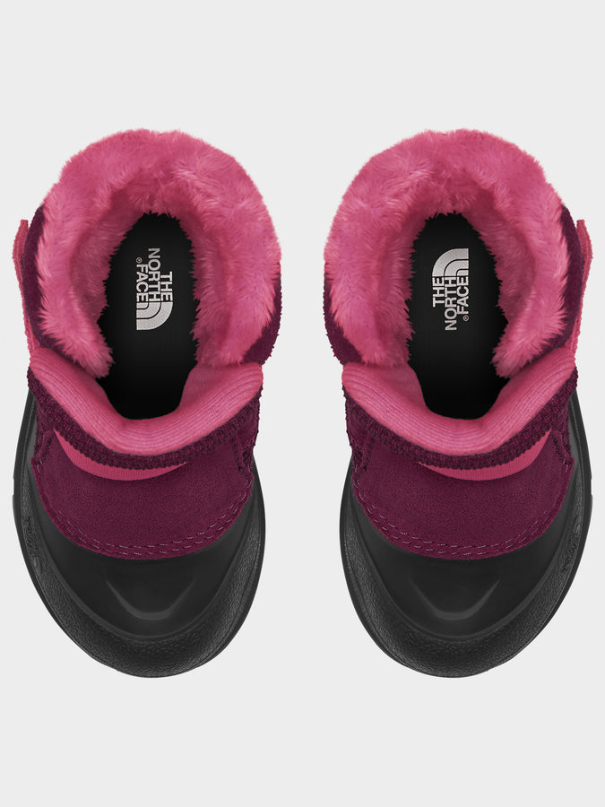 The North Face Alpenglow II Boysenberry/Black Winter Boots | BOYSENBERRY / TNF BLACK (KK9)