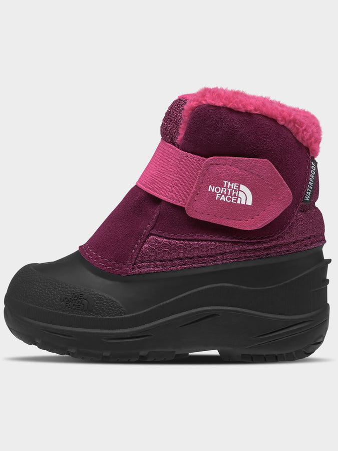 The North Face Alpenglow II Boysenberry/Black Winter Boots | BOYSENBERRY / TNF BLACK (KK9)