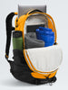 The North Face Borealis Backpack