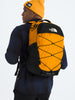 The North Face Borealis Backpack