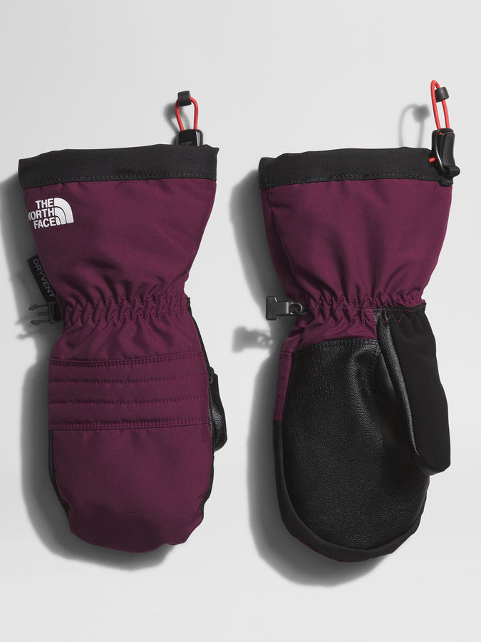 The North Face Montana Ski Snowboard Mitts 2024 | BOYSENBERRY (I0H)