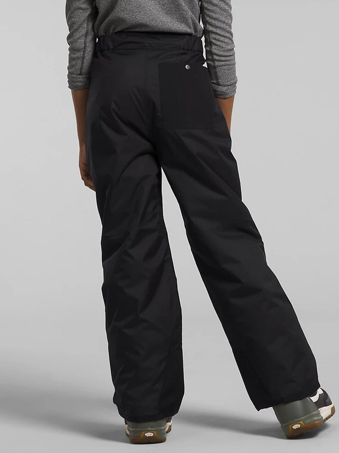The North Face Freedom Insulated Snow Pants 2024 | TNF BLACK (JK3)