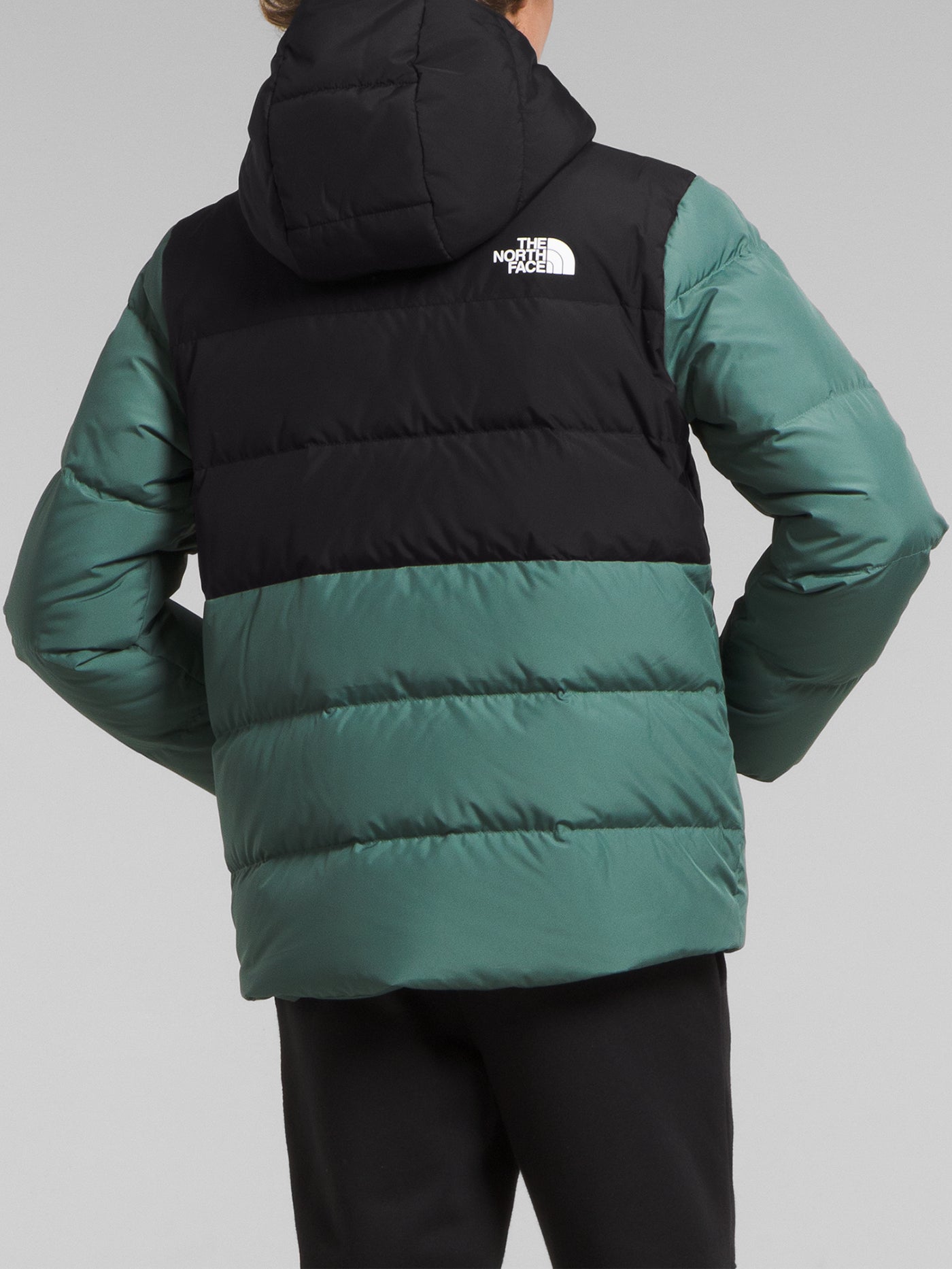 The North Face North Down Fleece-Lined Jacket Winter 2024 | EMPIRE
