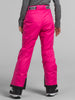 The North Face Freedom Insulated Snow Pants 2024