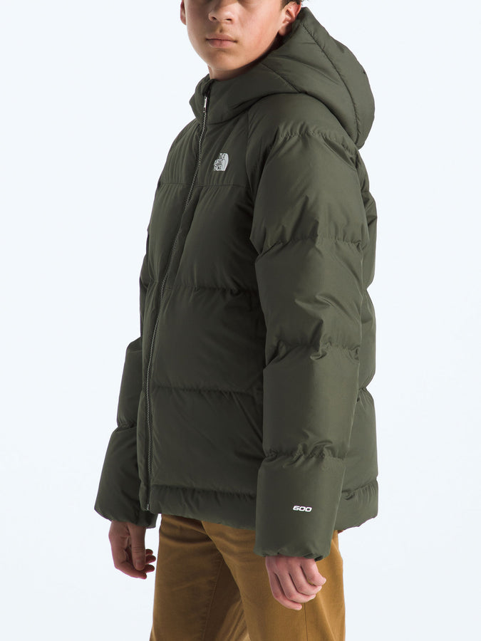 The North face North Down Hooded Jacket Fall 2025 | NEW TAUPE GREEN (21L)