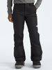 The North Face Freedom Insulated Pants 2025