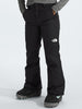 The North Face Freedom Insulated Pants 2025