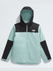 The North Face Freedom Triclimate Muted Pine Jacket 2025