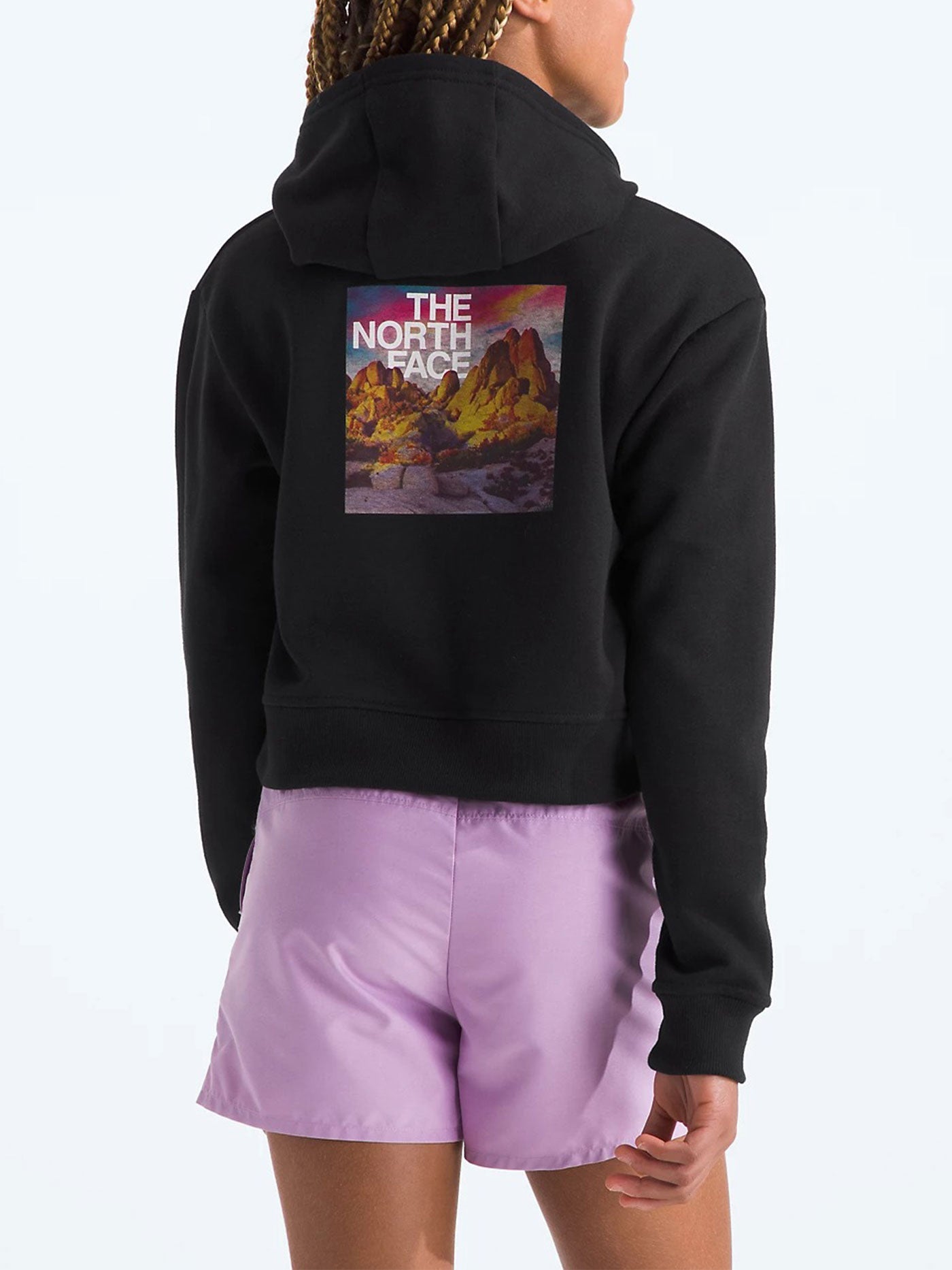 The North Face Camp Hoodie Spring 2024