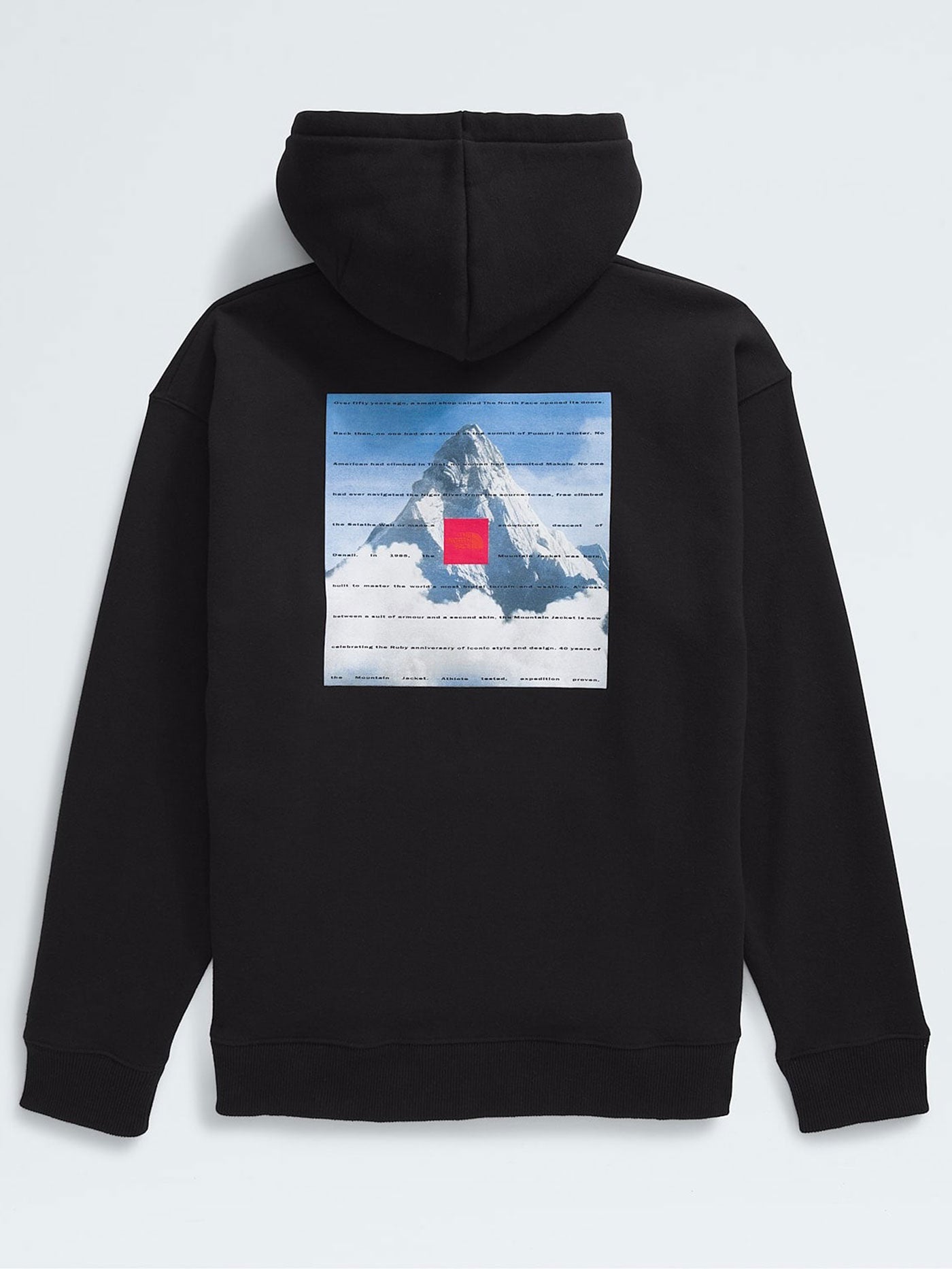 TNF 40TH Anniversary Mountain Jacket Hoodie Spring 2025