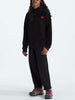 TNF 40TH Anniversary Mountain Jacket Hoodie Spring 2025