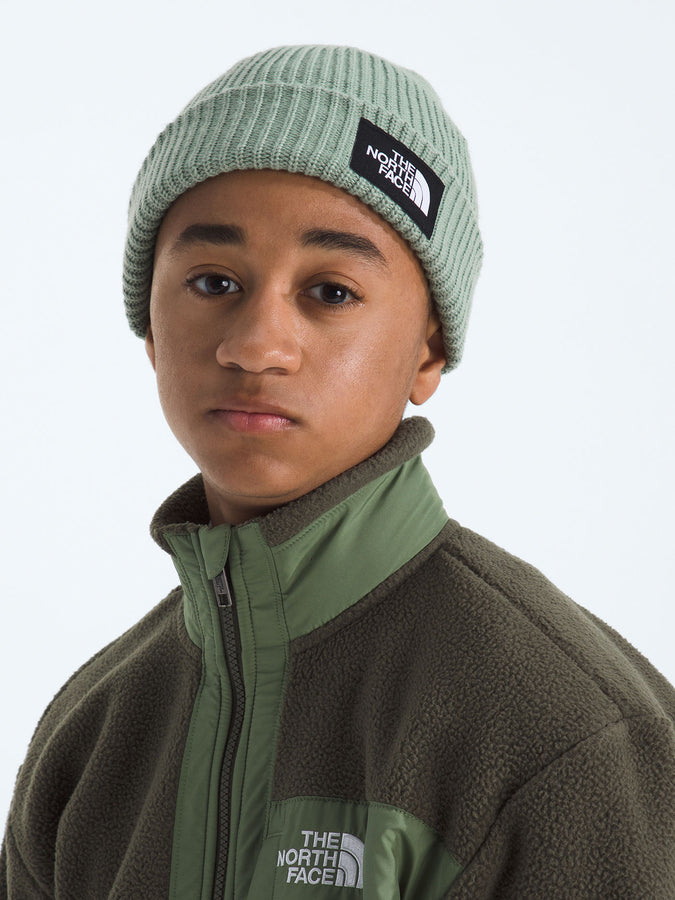 The North Face Salty Lined Beanie | SLATE MOSS (BQ1)
