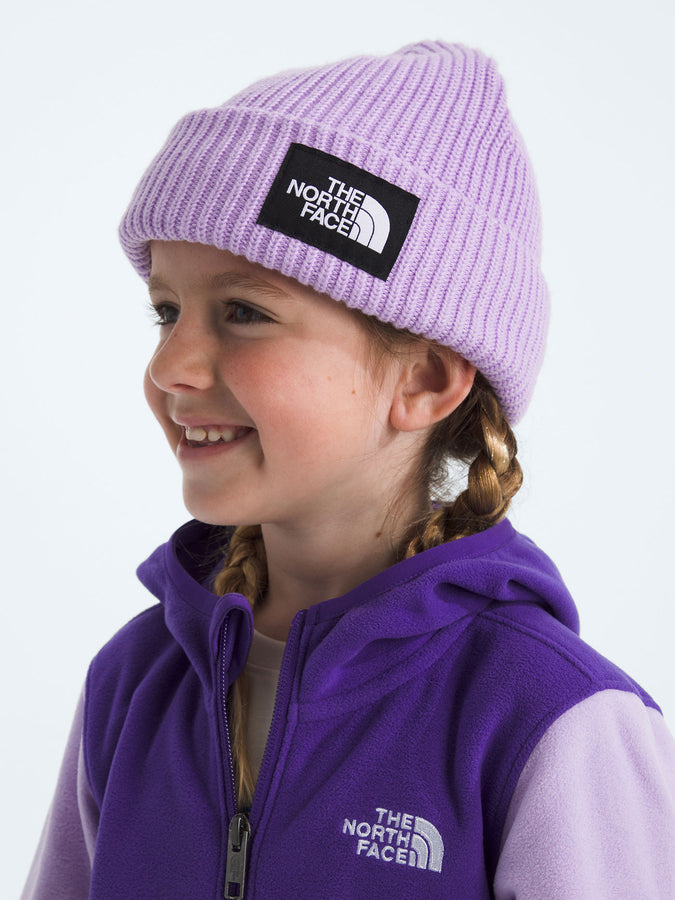 The North Face Salty Lined Beanie | LITE LILAC (QZI)