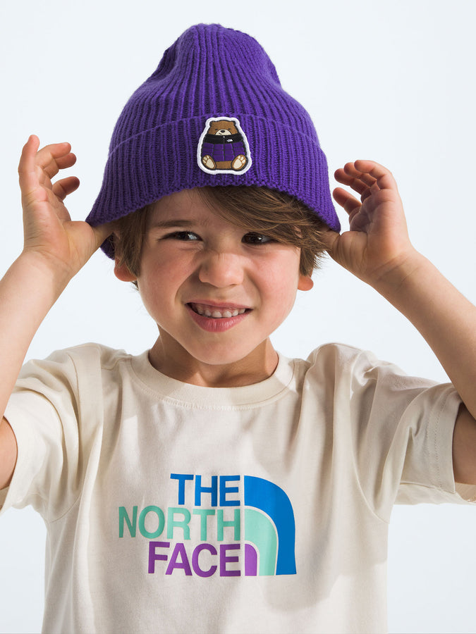 TNF Logo Box Cuffed Beanie | PEAK PURPLE/NUPTSE BEAR (FOS)