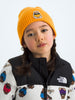 TNF Logo Box Cuffed Beanie