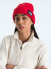 The North Face Salty Lined Beanie
