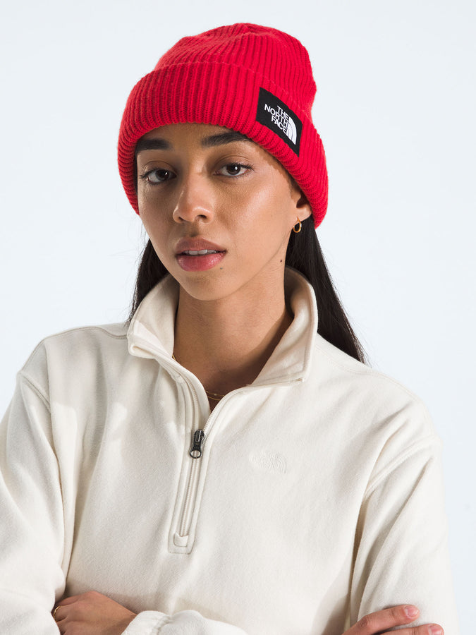 The North Face Salty Lined Beanie | TNF RED (682)