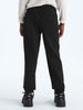 TNF Perfomance Fleece Jogger Pants
