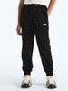 TNF Perfomance Fleece Jogger Pants