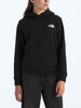 The North Face Evolution Box NSE Hoodie Fall 2025
