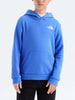 The North Face Evolution Box Nse Pullover Hoodie Fall 2026