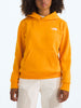 The North Face Evolution Emb Hoodie Fall 2025