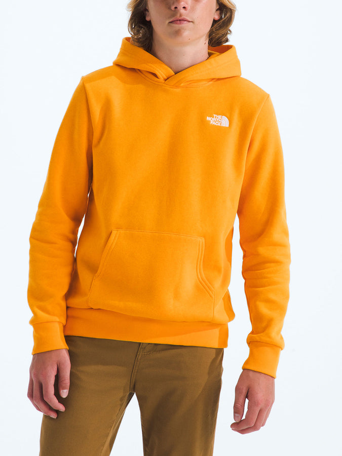 The North Face Evolution Emb Hoodie Fall 2025 | SUMMIT GOLD (56P)
