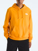 The North Face Evolution Box NSE Hoodie Fall 2025