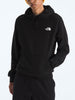 The North Face Evolution Box NSE Hoodie Fall 2025